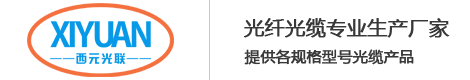 江苏西元光联通信科技有限公司